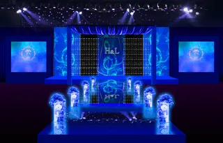 宝蓝色婚礼背景