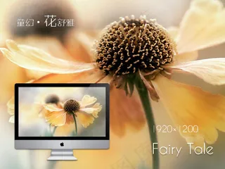 花之舒雅壁纸高清图片