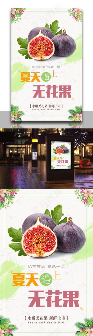 无花果水果促销海报