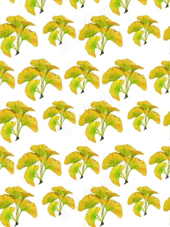 印花背景图片 印花背景图片