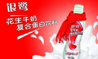 银鹭花生牛奶图片