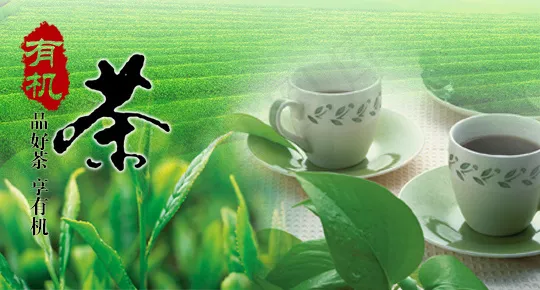 有机茶叶轮播海报psd模版下载