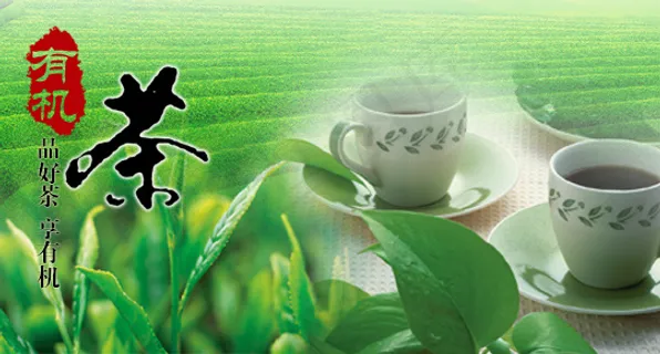 有机茶叶轮播海报