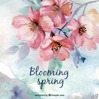 水彩可爱的春天的花朵