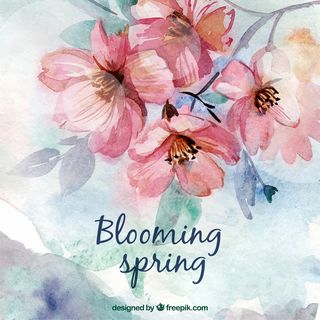 水彩可爱的春天的花朵