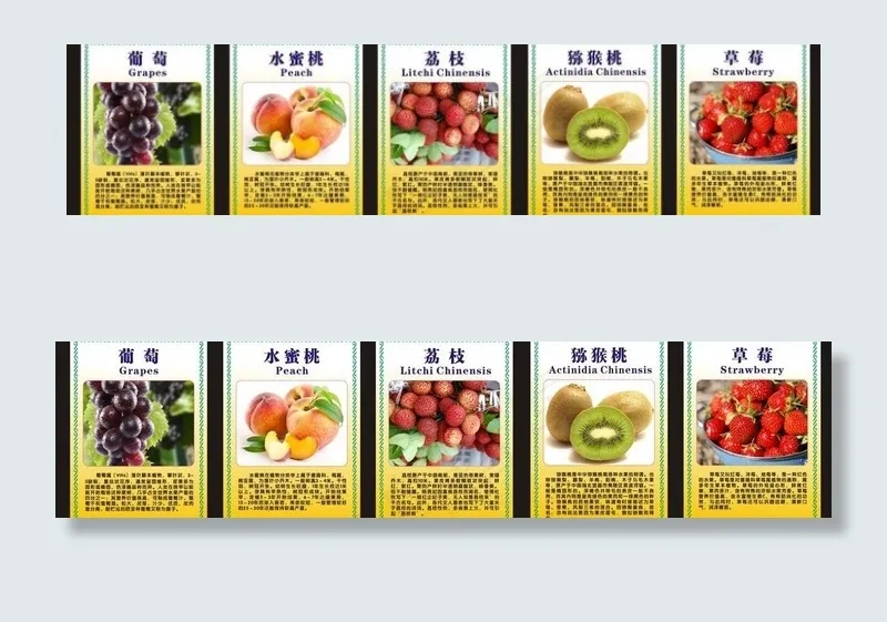 水果宣传画图片cdr矢量模版下载