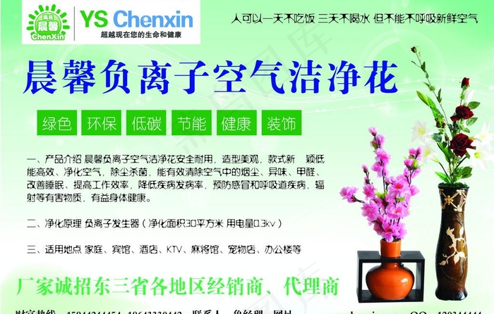 晨馨 空气洁净花图片