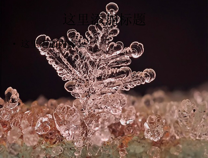 单反微距下的雪花唯美电脑ppt封...