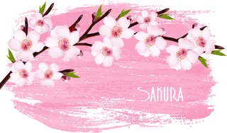 美丽的樱花背景矢量图形03