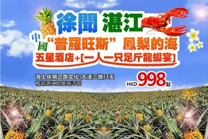 徐聞海报