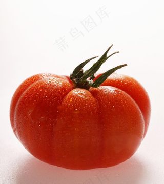 西红柿图片