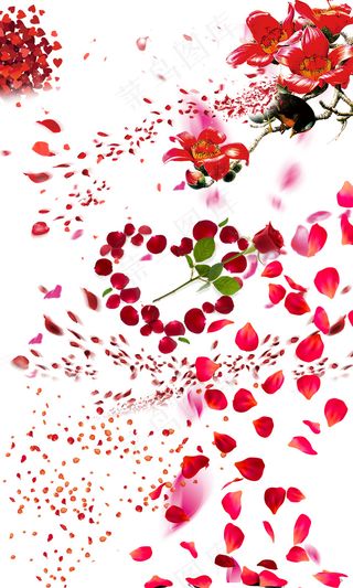 精美花瓣PSD格式素材画面