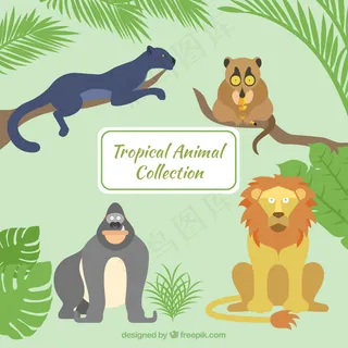 一只手在丛林中的野生动物