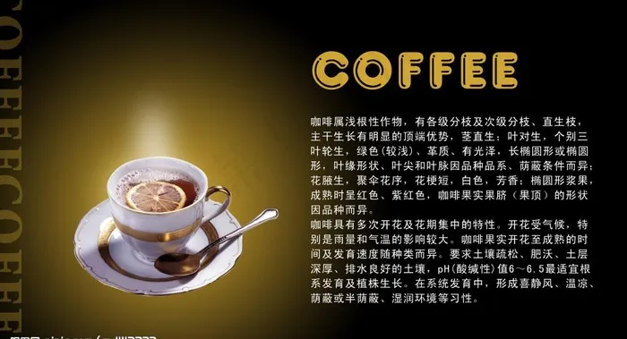 咖啡广告图片psd模版下载