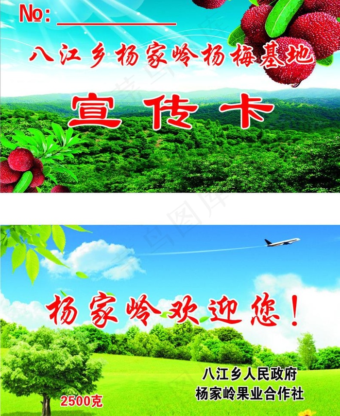 杨梅名片图片cdr矢量模版下载
