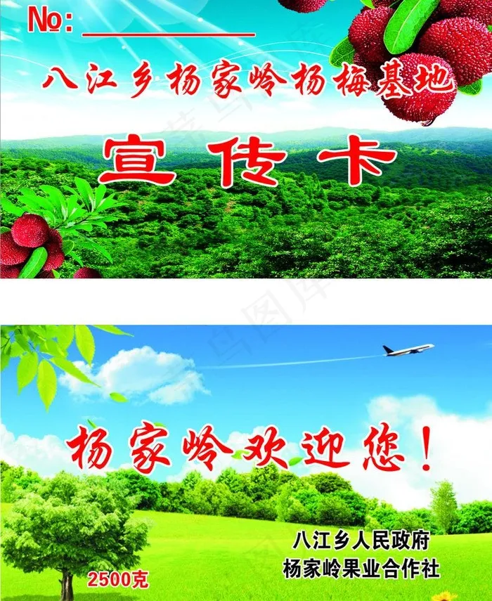 杨梅名片图片cdr矢量模版下载
