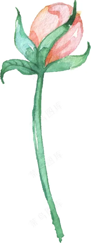 淡彩手绘植物-带通道 淡彩手绘植物-带通道