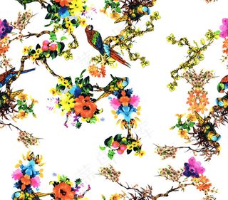 喜鹊数码印花图