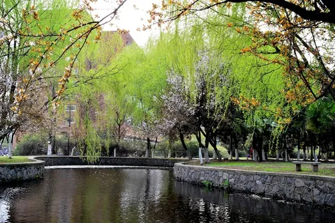 宁大风景图片 宁大风景图片