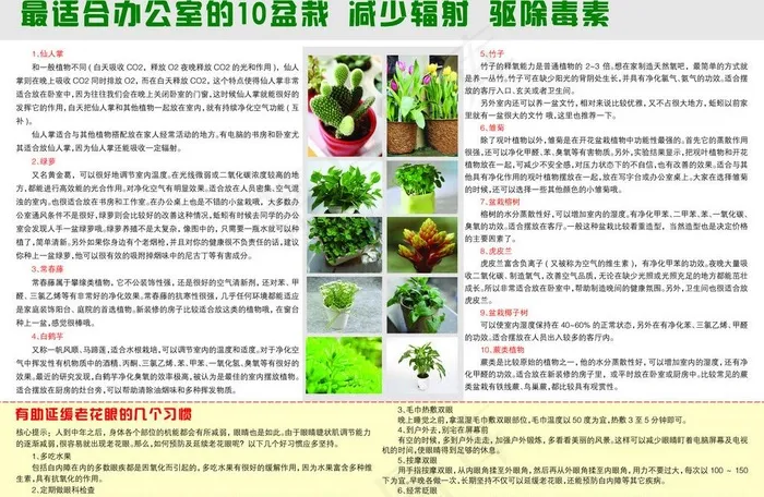 办公室10种盆栽图片psd模版下载