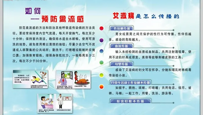 健康知识宣传栏a图片psd模版下载