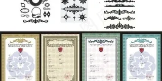 国际奥林匹克数字等级证书