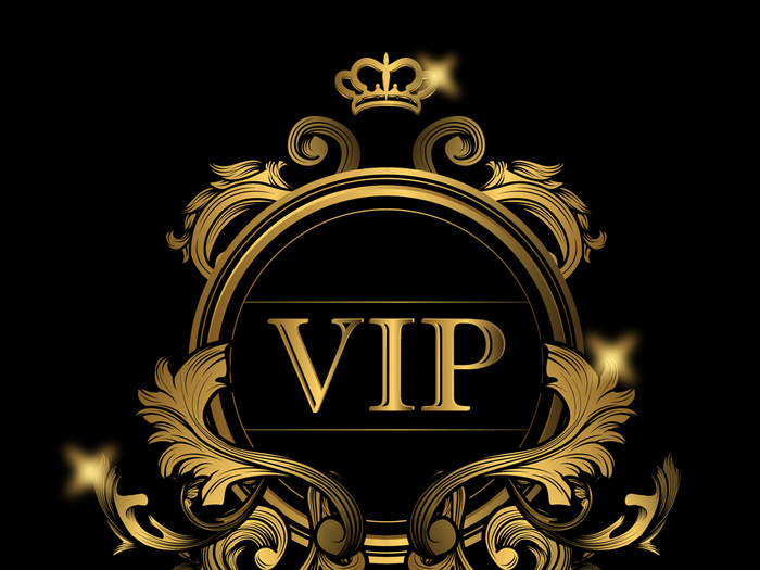 高端时尚VIP设计模板