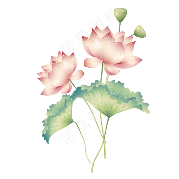 水彩荷花图案元素