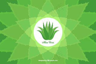 绿色背景矢量图