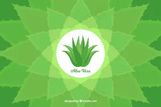 绿色背景矢量图