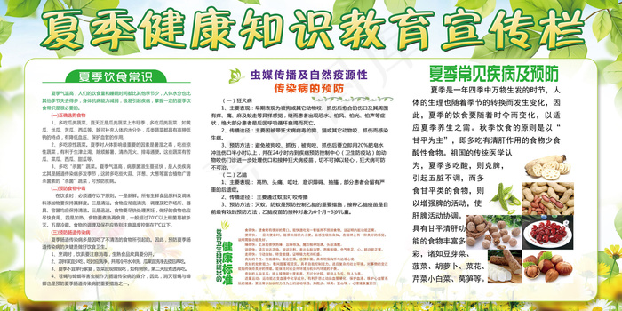 夏季健康知识教育展板宣传栏