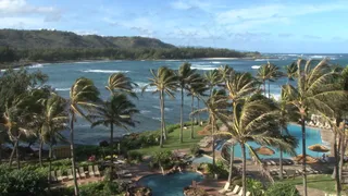 夏威夷阳光度假村股票视频 视频免费...