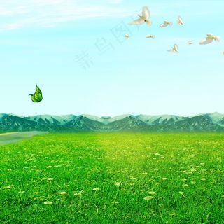 春天清新草坪山树叶鸽子背景