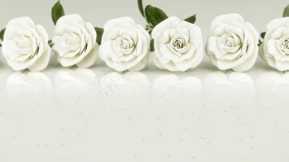 花纹背景视频素材素材下载