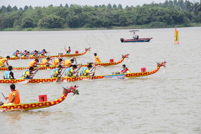 端午赛龙舟图片