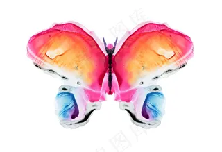 水彩蝴蝶插画