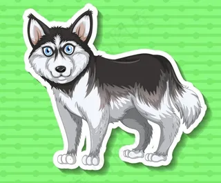 卡通哈士奇漫画图片