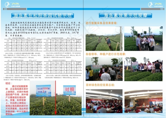 正业海岛素在茶叶上的应用观摩(302X216)cdr矢量模版下载