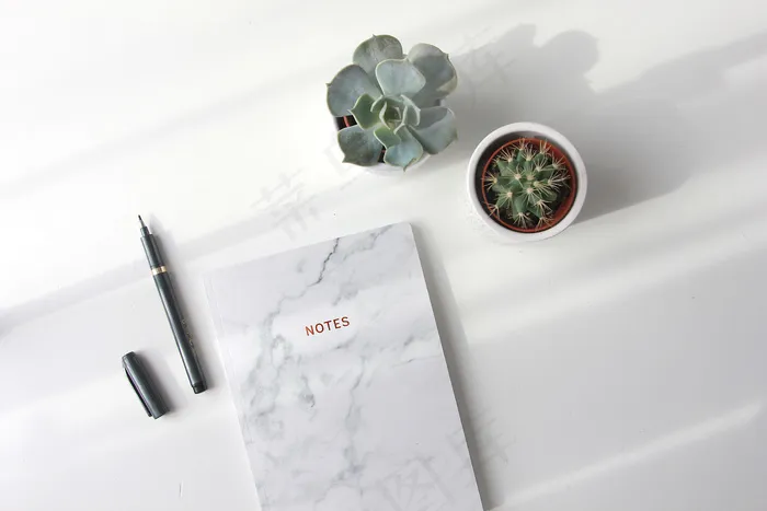 简约小清新文艺风插花静物摆拍背景