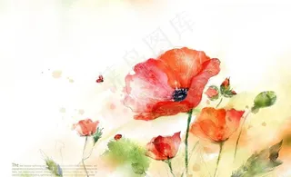 花卉背景 欧式花卉图片