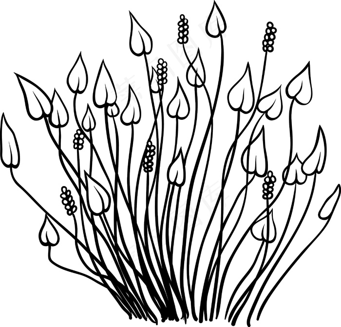 向量的热带植物