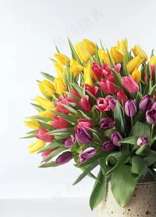 郁金香花束背景图