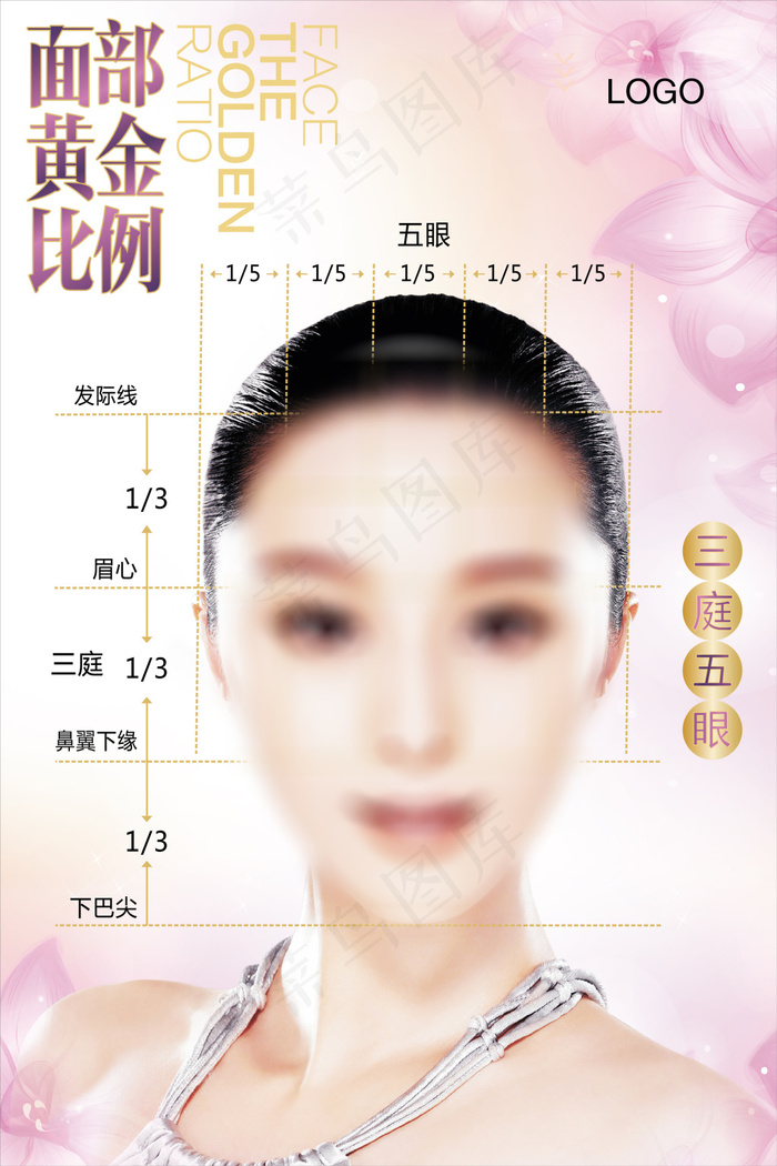 美容 面部黄金比例三庭五眼ai矢量模版下载
