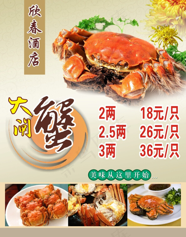 食品创意海报(600X800)cdr矢量模版下载