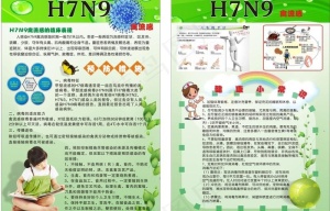 H7N9禽流感宣传单图片