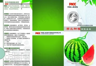 西瓜农业保险彩页图片