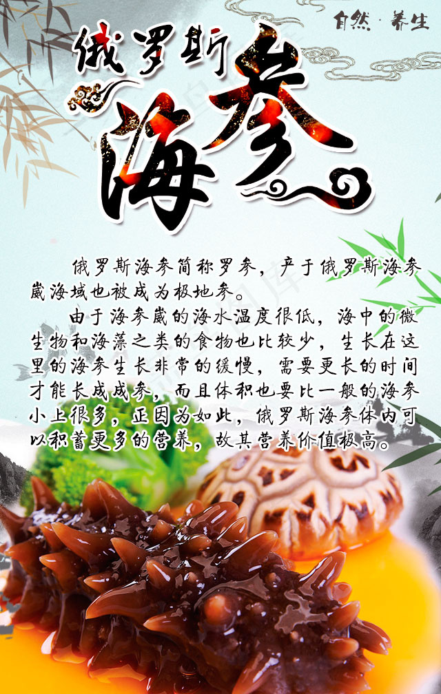 俄罗斯海参介绍手机转发场景海报PS...psd模版下载