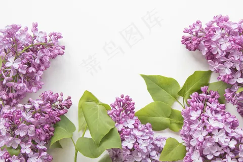 简约小清新文艺风插花静物摆拍背景 简约小清新文艺风插花静物摆拍背景