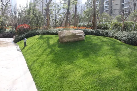 南京高档楼盘星雨华府图片