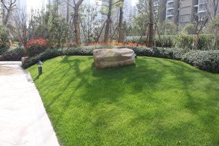 南京高档楼盘星雨华府图片